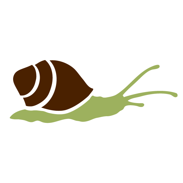 snail stencil