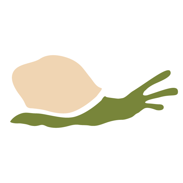 snail stencil