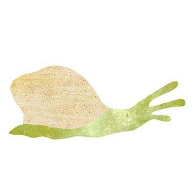 snail sticker