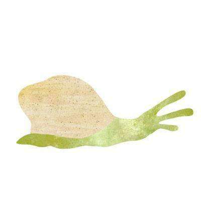 snail sticker