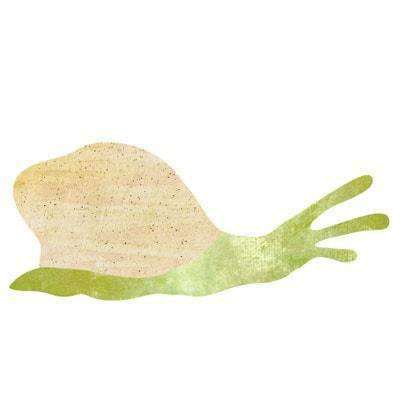snail sticker