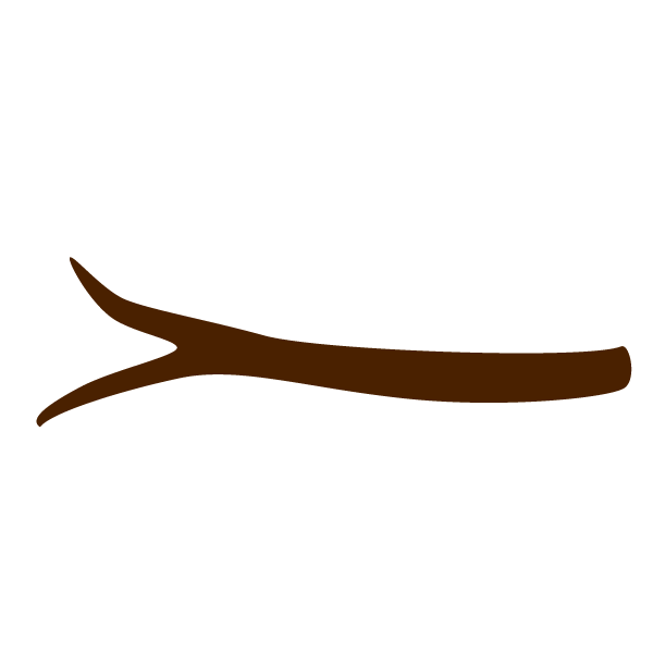 branch stencil