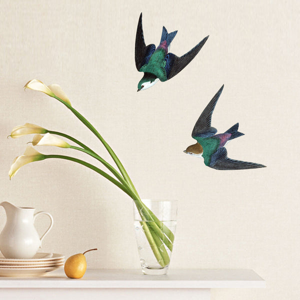 swallow bird decals