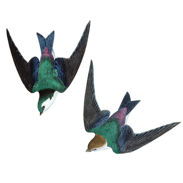 swallow stickers