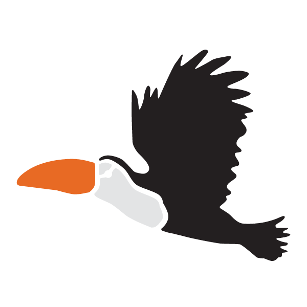 Toucan Stencil