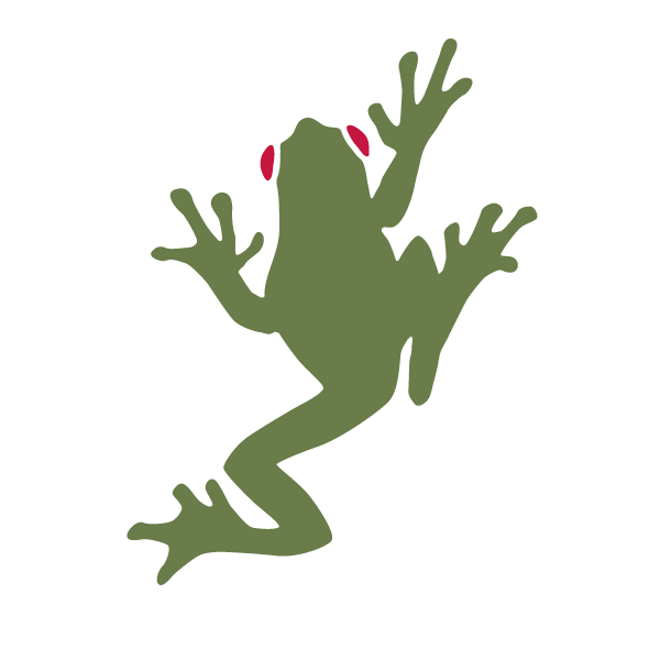 Tree Frog Stencil