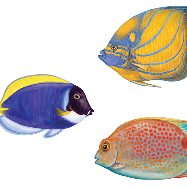 Tropical Fish Decals 