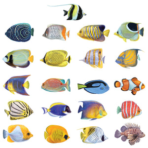 Tropical Fish Decals 