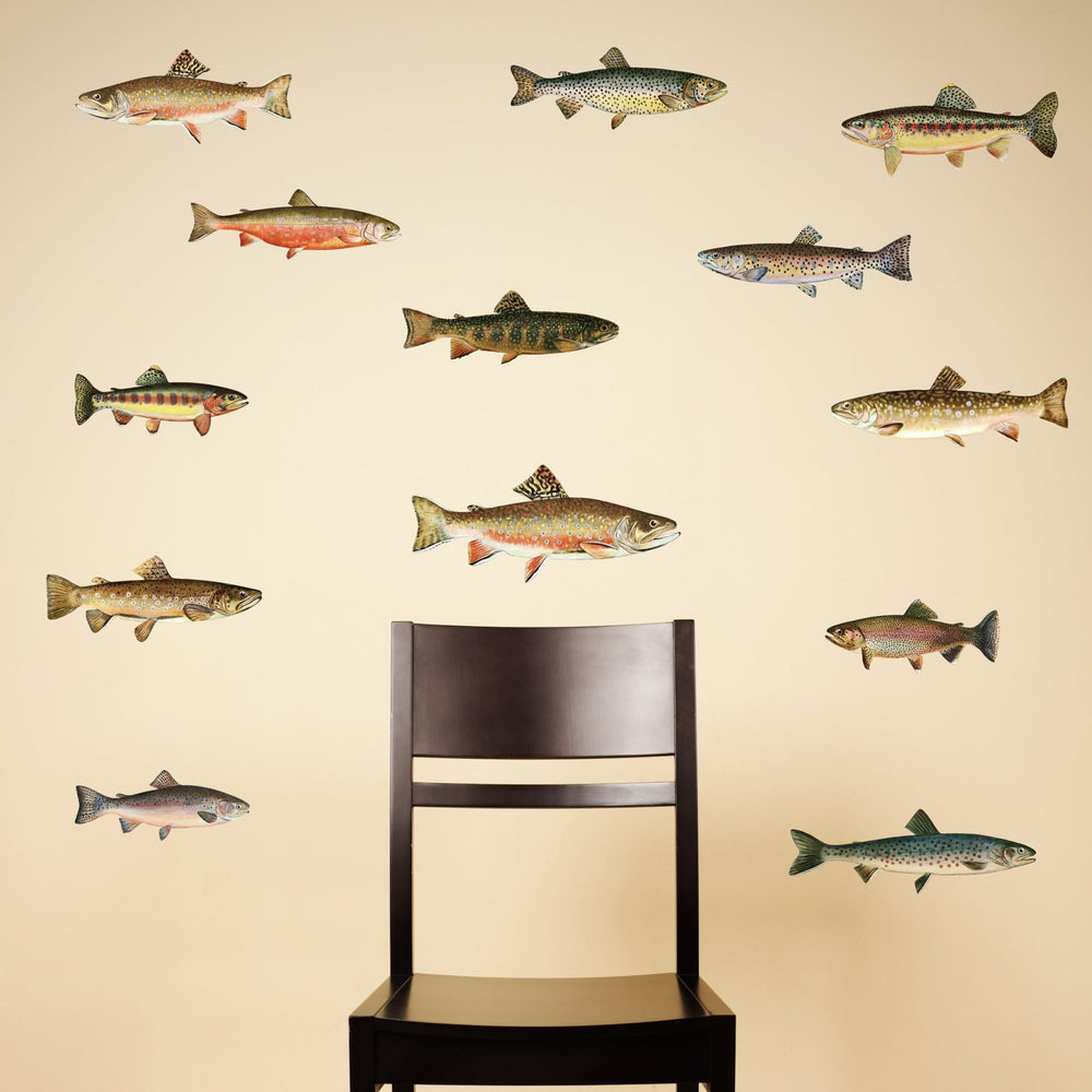 Trout Wall Decals - Set of 13 Realistic Fish Stickers - My Wonderful Walls
