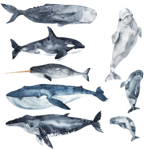 Whale Wall Decals - Set of 8 Watercolor Whale Stickers - My Wonderful Walls