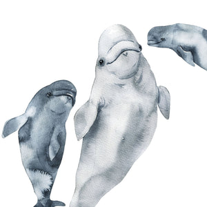 Whale Wall Decals - Set of 8 Watercolor Whale Stickers - My Wonderful Walls